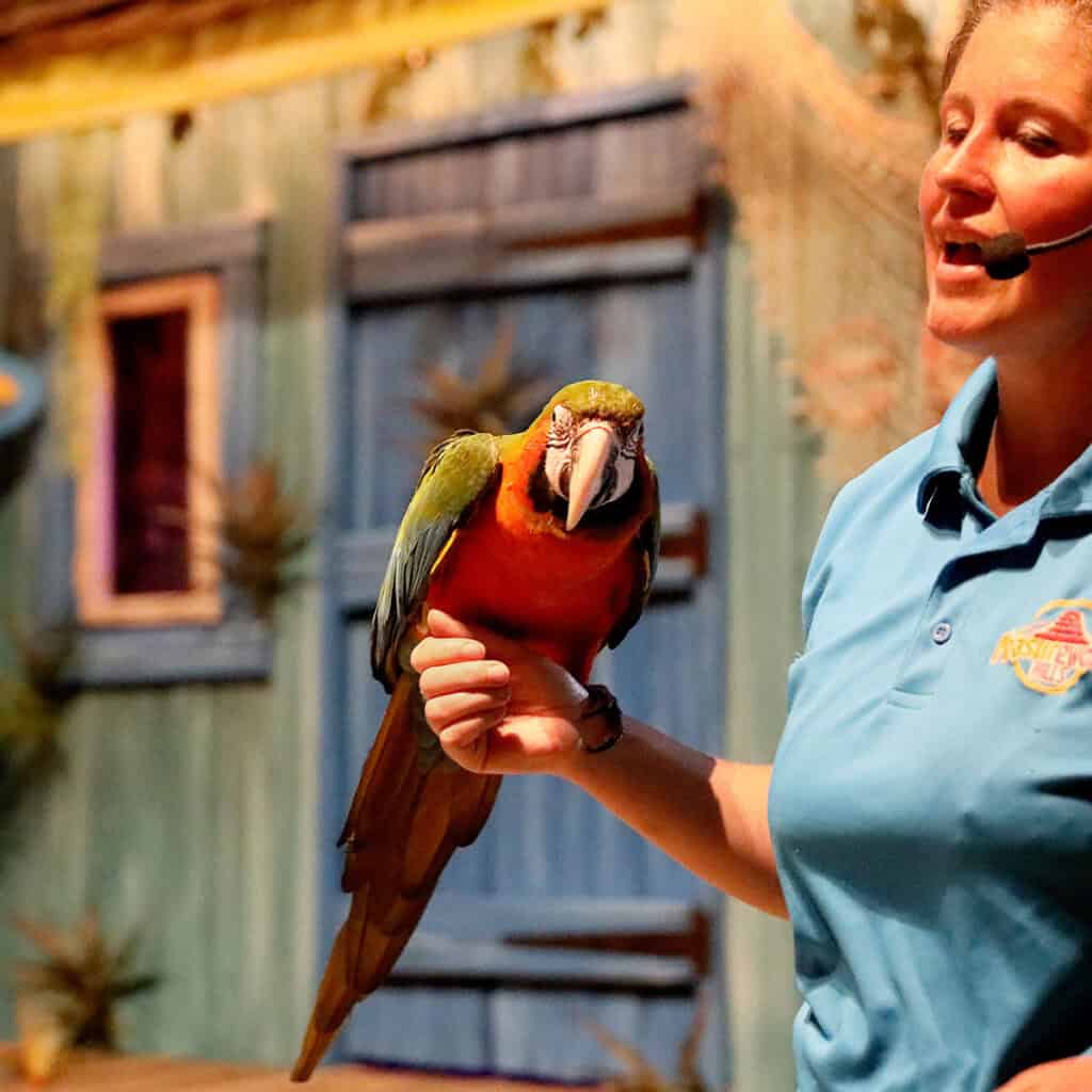Woman with microphone holding a parrot