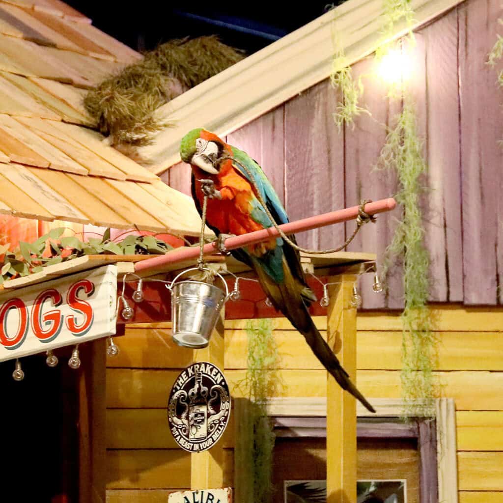 Parrot on a pole