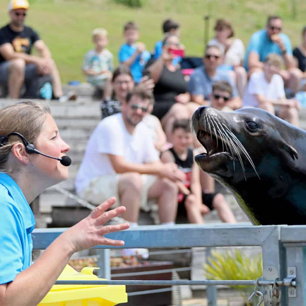 Woman with microphone talking to a sea lion