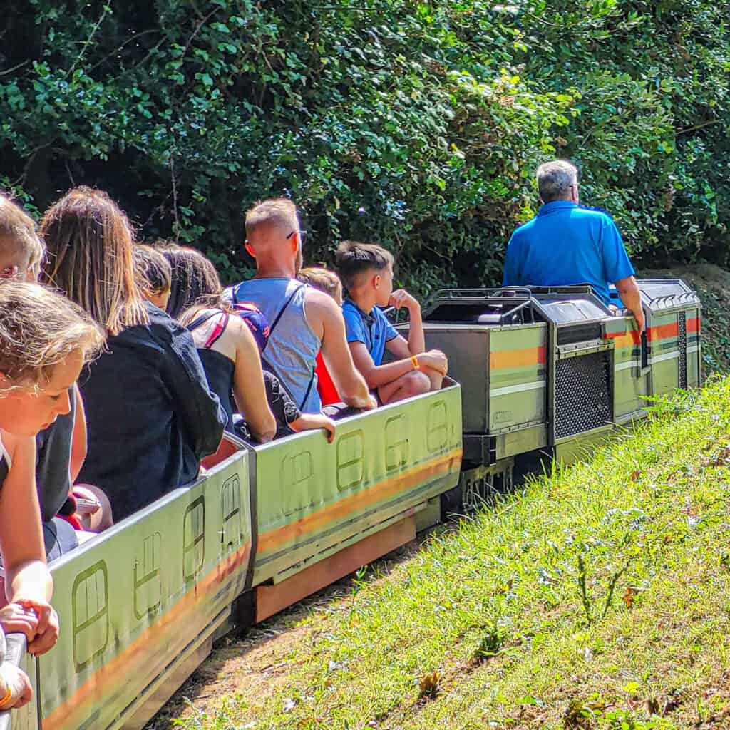 Rear view people on a theme park train