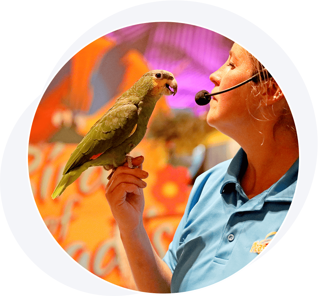 Lady staring at tropical bird on her hand