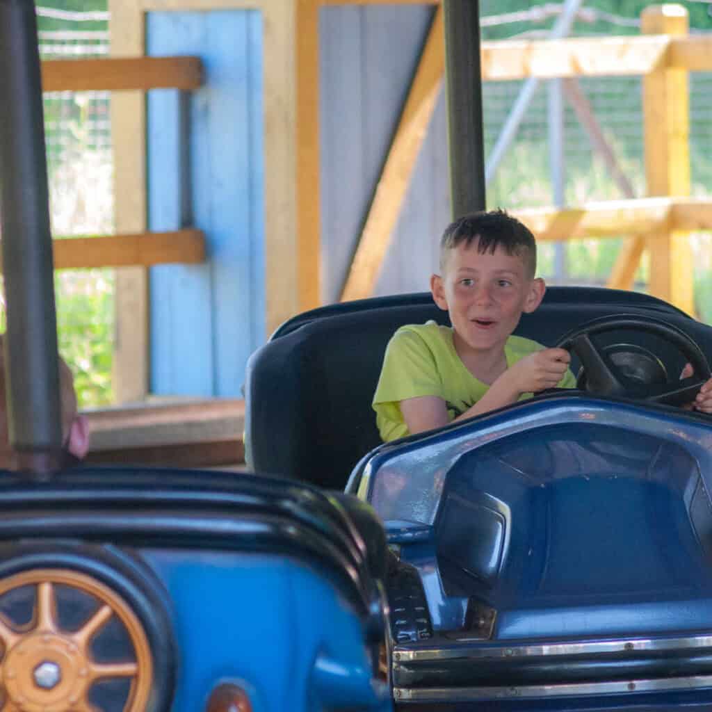 Young boy in blue dodgems car