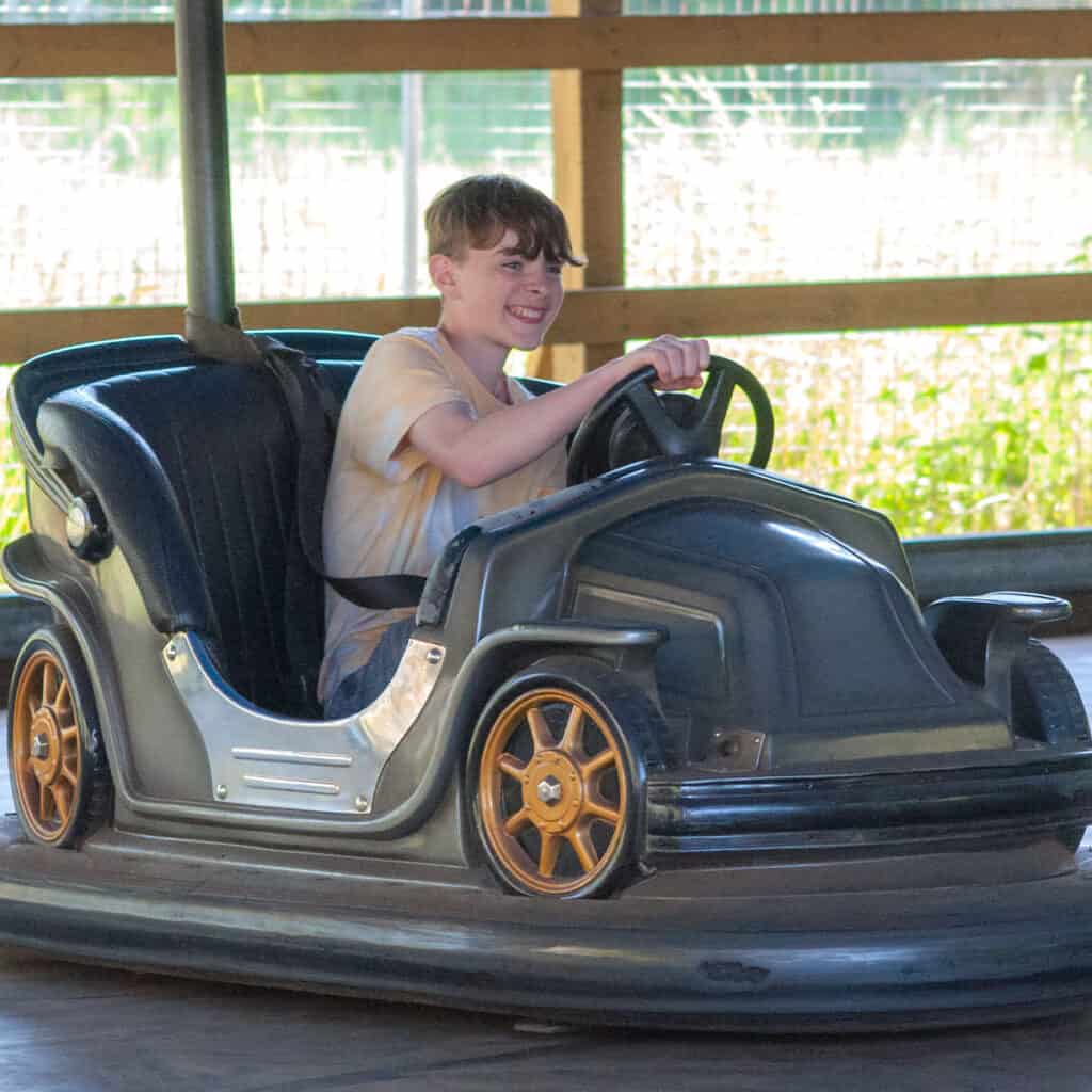 Young boy in blue dodgems car