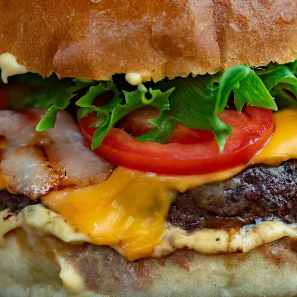 Burger with salad close up