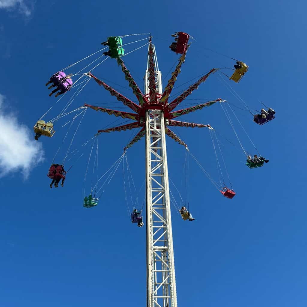 Theme park swing thrill ride