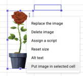 how to copy paste image in Google sheets