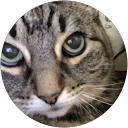 Dawn Pollard profile picture