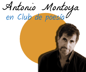 wpproads_banner_1452466705