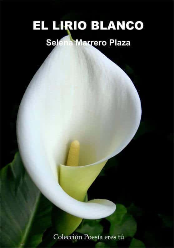 El lirio blanco de Selena Marrero Plaza