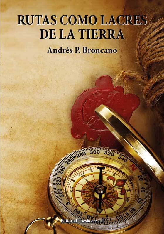 Guided by the image, here are the SEO-focused text values:.