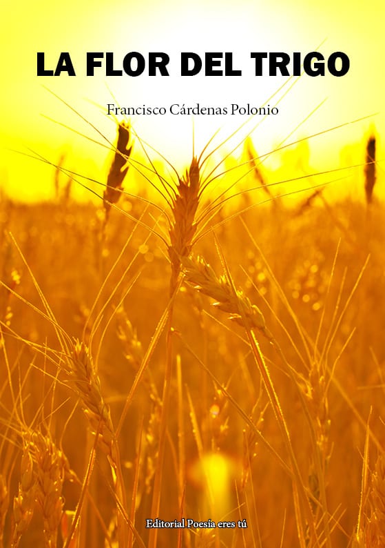 Golden wheat field under sunlight, book cover for "La Flor del Trigo".