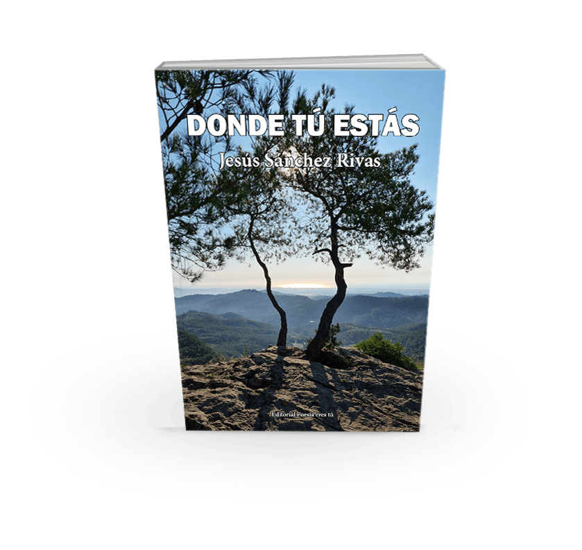 Silent mountain landscape with a lone tree in front of distant hills.