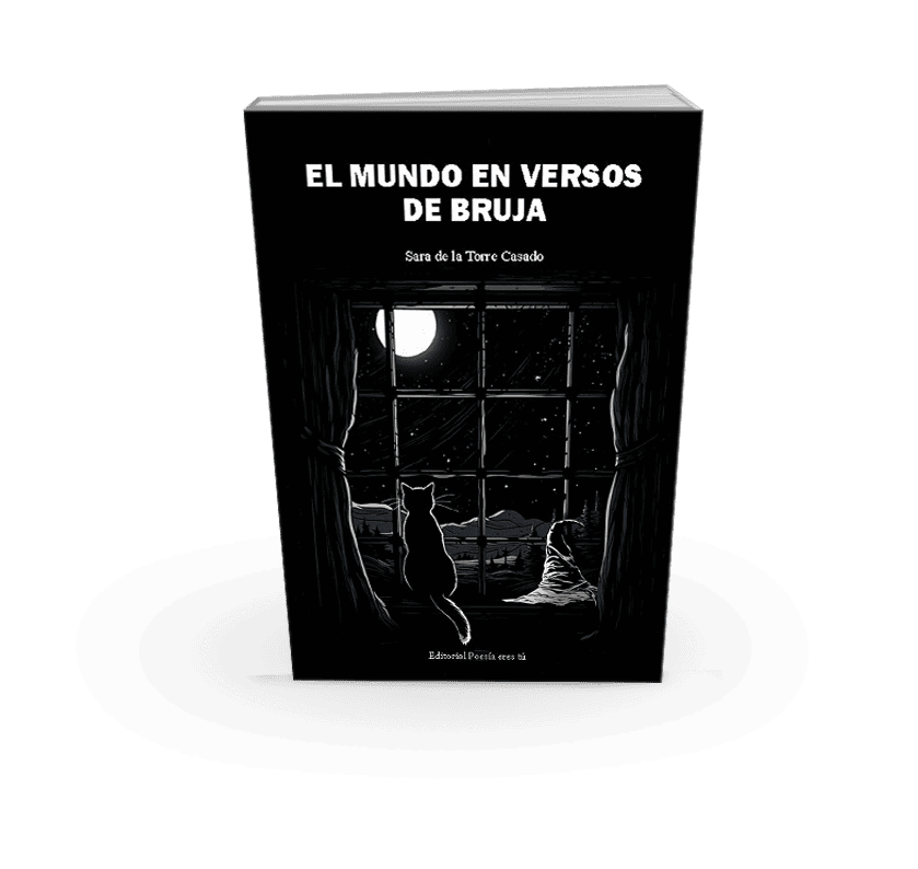 Mystical poetry book with moonlit window and a cat, creative literary gift for poetry lovers.