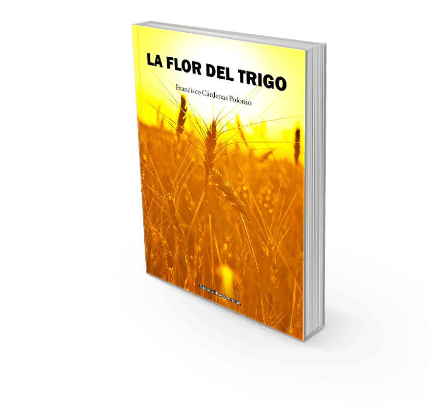 Bright wheat field with sunset background, poetry book cover design, literary, agricultural imagery.