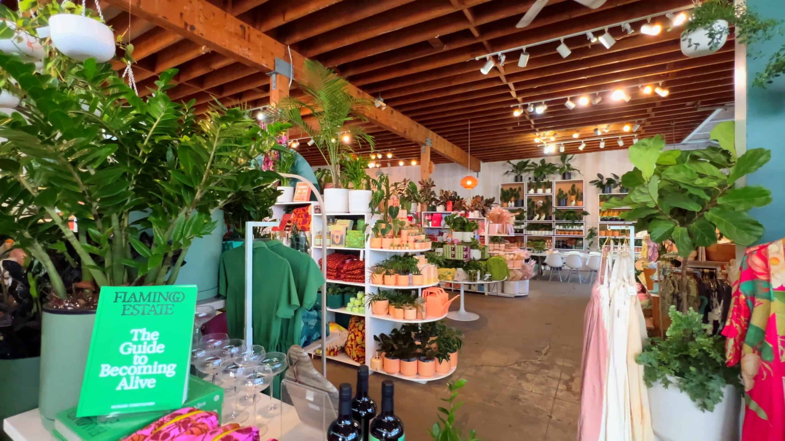 Lush green indoor plants and trendy retail display shelves at Point North Park in San Diego, California, showcasing a vibrant plant shop with trendy home decor, clothing, and accessories in a modern, inviting space.