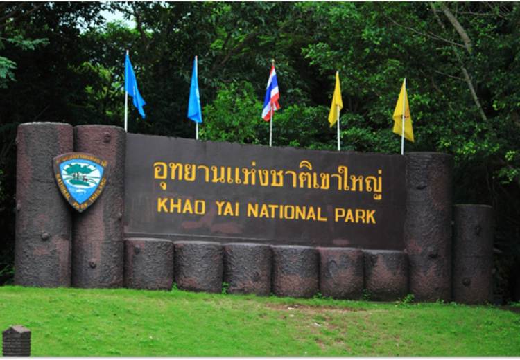 10 ที่เที่ยวเขาใหญ่ หน้าฝน 2568 สัมผัสธรรมชาติใกล้กรุงเทพฯ ชุ่มฉ่ำใจ ฟินทุกมุม