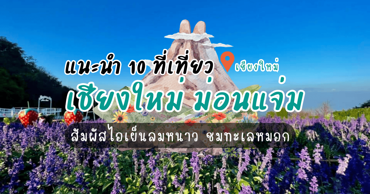 10 ที่เที่ยวเชียงใหม่ ม่อนแจ่ม สัมผัสไอเย็นลมหนาว ชมทะเลหมอก