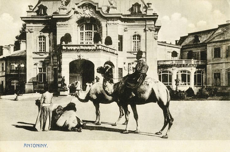 Історична фотографія Антоніни з конем перед палацом у Києві.