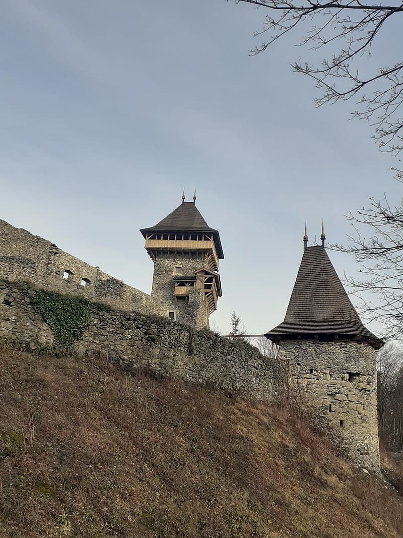 Невицький замок