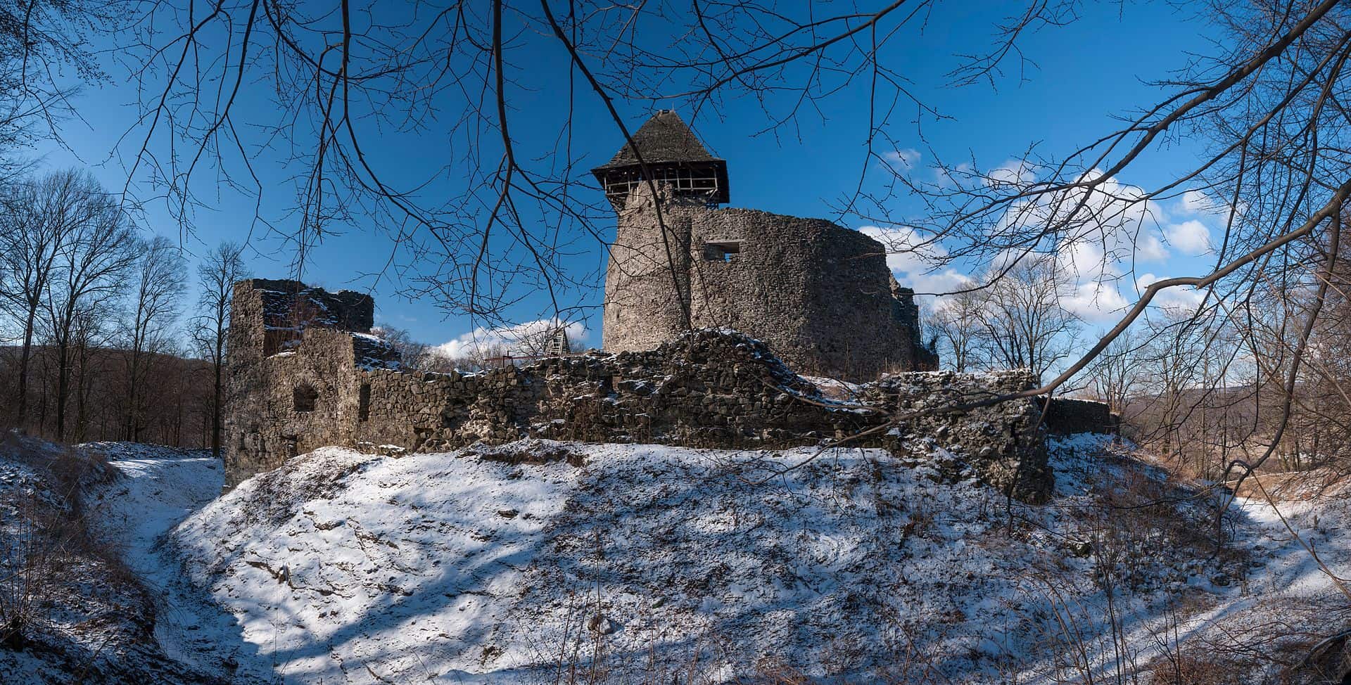 Невицький замок