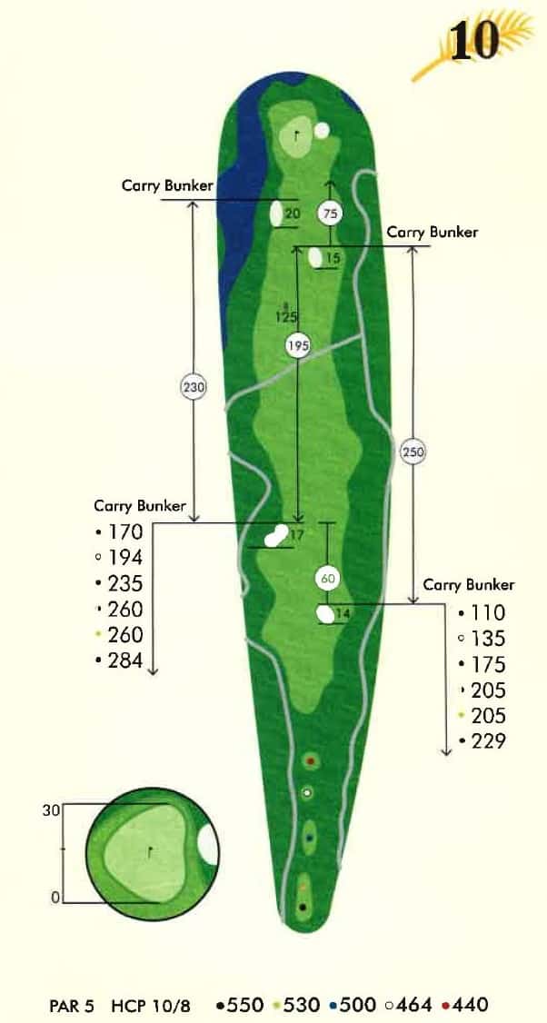 A detailed golf course map for Hole 10, a Par 5. It displays the long, narrow fairway, green with a flagstick, five colored tee boxes with yardages from 440 to 550 yards, and multiple sand bunkers labeled 'Carry Bunker' with associated distance lists. A magnified view of the green is also included.