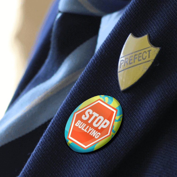 School Lapel Badges - Shield