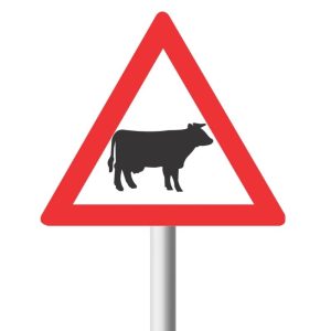 Domestic Animals (Cattle) Road Sign (W310)