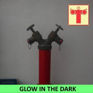 SABS Fire Pump Connection photoluminescent (glow in the dark) safety sign (F49)