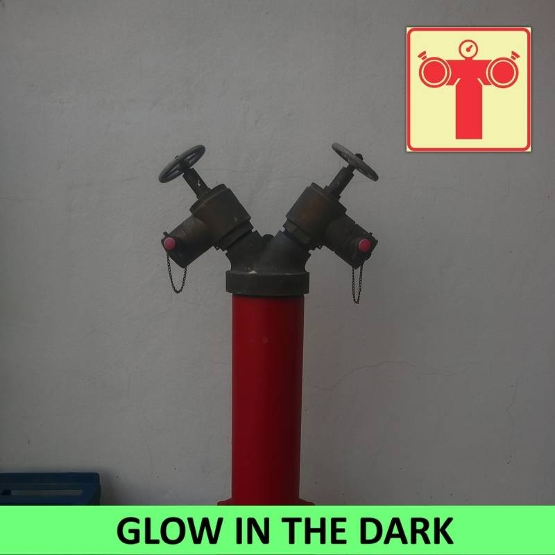 SABS Fire Pump Connection photoluminescent (glow in the dark) safety sign (F49)