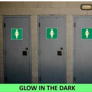 SABS Ladies toilet photo luminescent safety sign (E27)