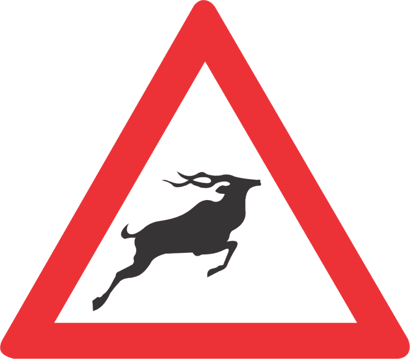 WILD ANIMALS AHEAD ROAD SIGN (W313)