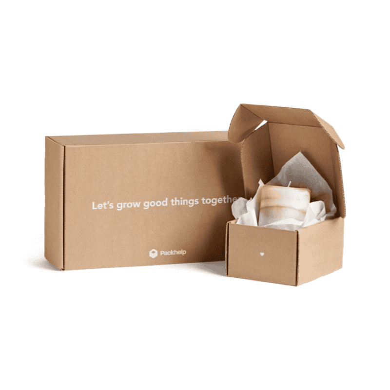 White printed kraft bioxes