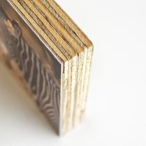 Photo Shutter Blocks