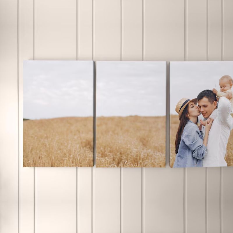 A4 Canvas Print Deals
