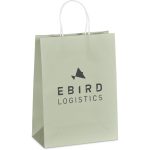 LIGHT GREEN Altitude Vogue Midi Paper Gift Bag