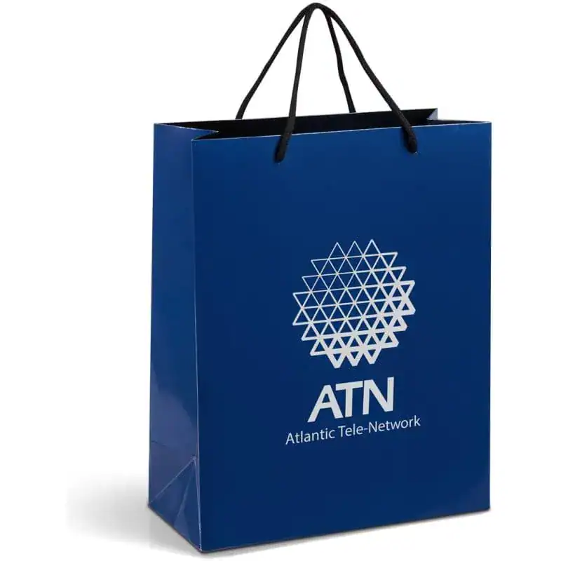 NAVY Altitude Dazzle Midi Paper Gift Bag
