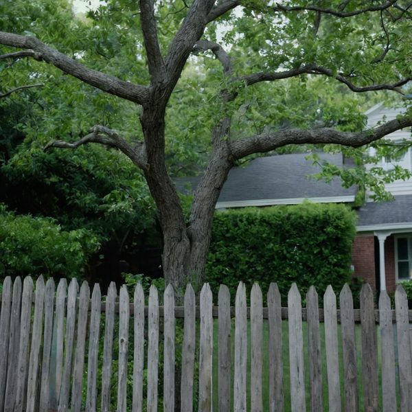 Illustrative image related to Georgia Homeowners: How to Safely and Legally Trim Overhanging Tree Branches to Avoid Disputes.
