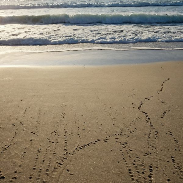 Illustrative image related to Wordle April 4 Answer: SANDY, a No-Repeat Beach-Themed Five-Letter Word.