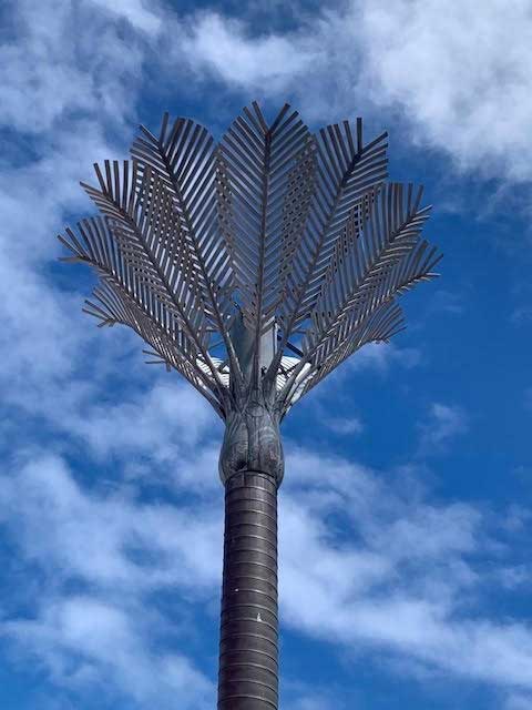 Wellington2-480x640