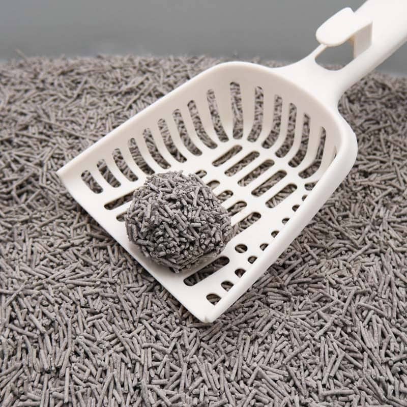 Eco-friendly cat litter with scoop at QingkePet, a leading premium manufacturer.