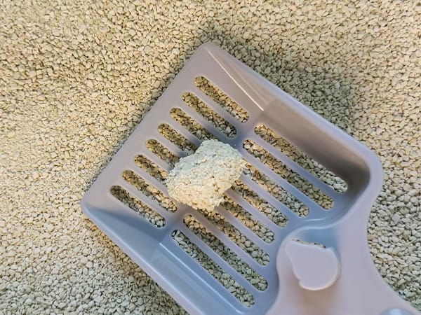 Soft eco-friendly cat litter pellet on a grey scoop against beige granules background.