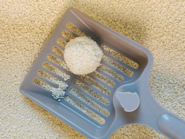 Virtually dust-free eco cat litter pellet on gray scoop against sand background.