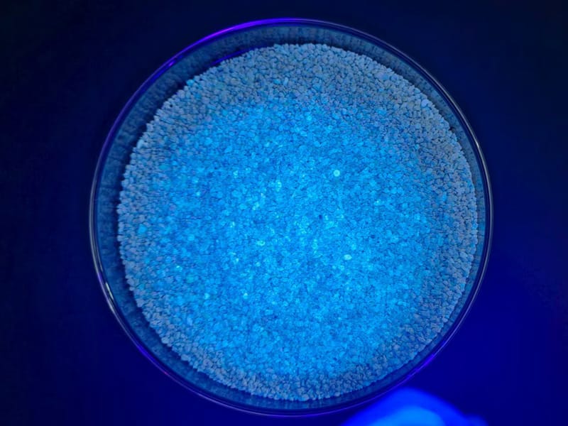 High-quality blue eco-friendly cat litter in a glass bowl under blue lighting.