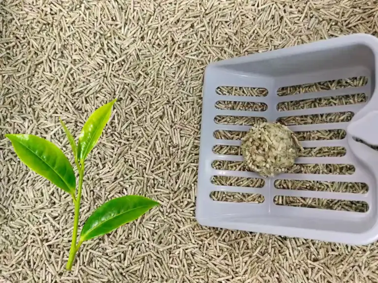 Eco-friendly cat litter with natural wood pellets, featuring a scoop and fresh green leaves.