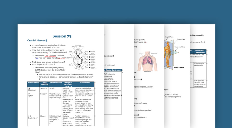 whyptexam_manual