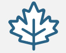 Leaf Icon
