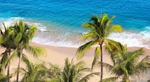 Beach View With Palm Trees And Turquoise Waters At Puerto Los Cabos.