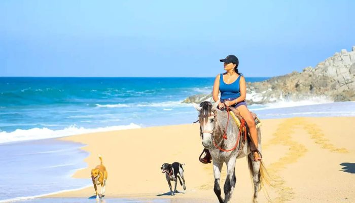 A Woman Riding A Horse Along A Sunny Beach With Two Playful Dogs, Showcasing Querencia'S Luxurious Beachside Lifestyle And Scenic Coastal Environment.