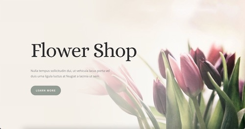 demo05-flower-lr Demo 05