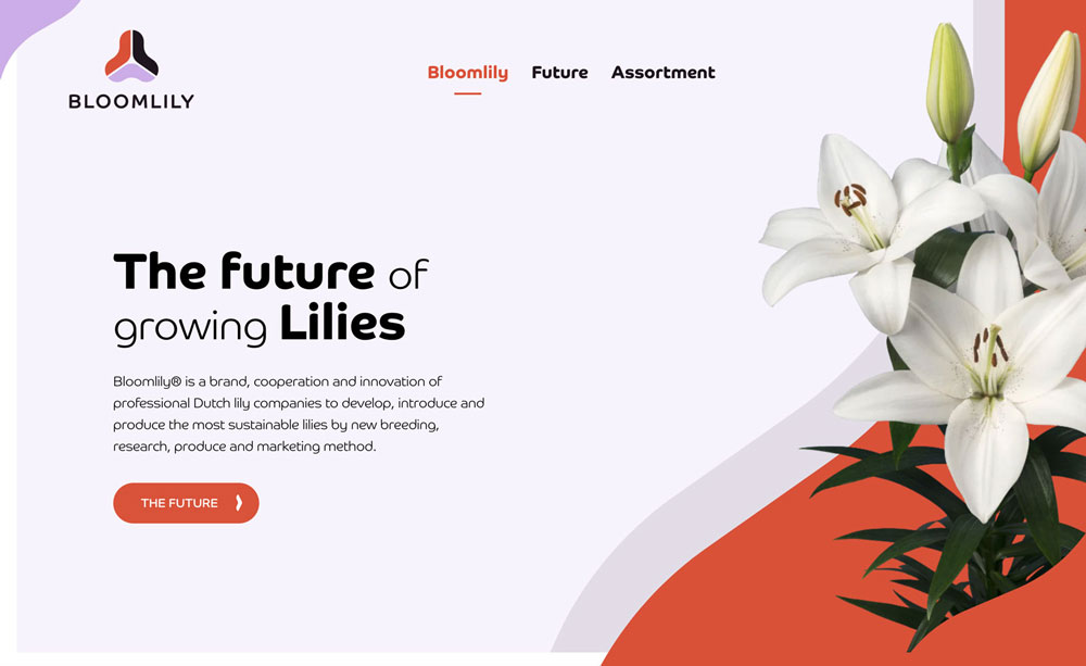 Website header Bloomlily